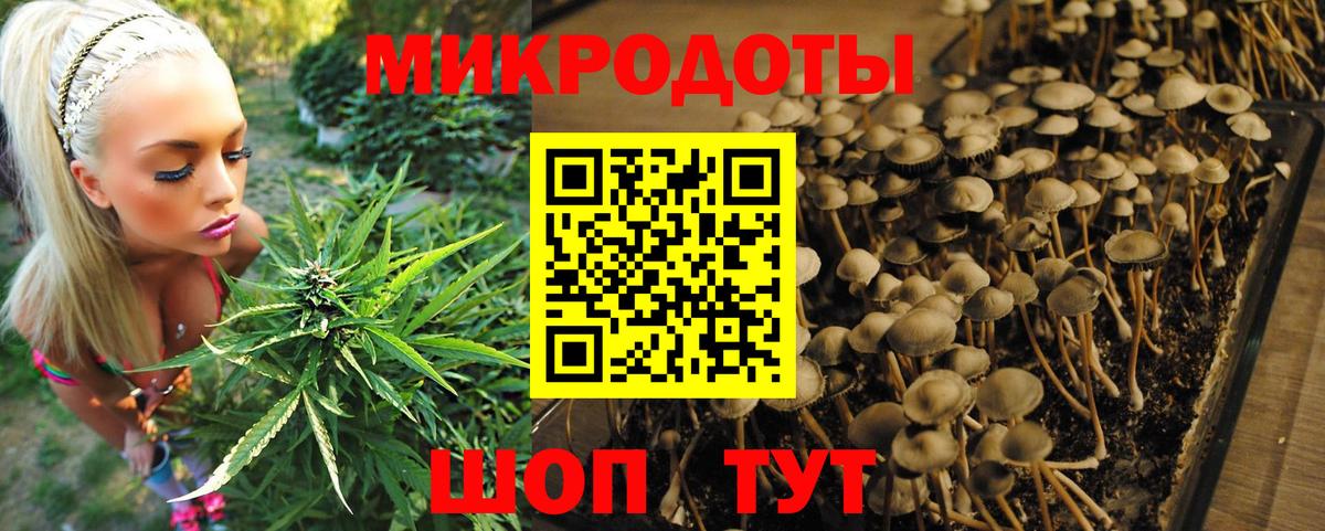 Галлюциногенные грибы мухоморы  Псилоцибиновые грибы Psilocybe  Вход с VPN  Гусев 